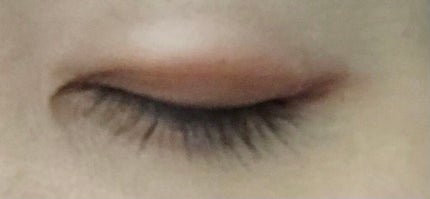 カラーステイ ルックス ブック パレット/REVLON/アイシャドウパレットを使ったクチコミ(1枚目)