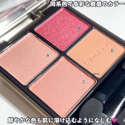 アイカラーレーション/LUNASOL/アイシャドウパレットを使ったクチコミ(4枚目)