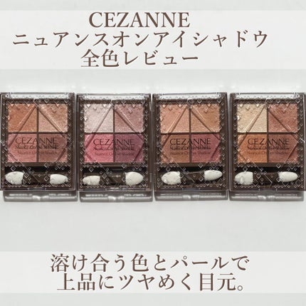 ニュアンスオンアイシャドウ/CEZANNE/アイシャドウパレットを使ったクチコミ(2枚目)