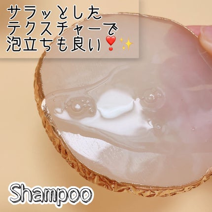 ハイドロミストN/plus eau/アウトバストリートメントを使ったクチコミ(2枚目)