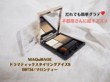 ドラマティックスタイリングアイズＳ BR734 マロンティー/マキアージュ/アイシャドウパレットを使ったクチコミ（1枚目）