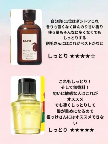 オイルトリートメント #EXヘアオイル/ルシードエル/ヘアオイルを使ったクチコミ（2枚目）