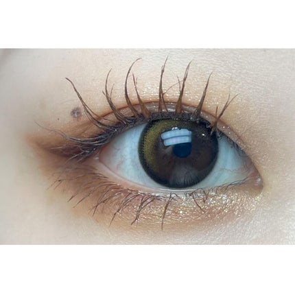 ニューデップスアイシャドウパレット/hince/アイシャドウパレットを使ったクチコミ(2枚目)