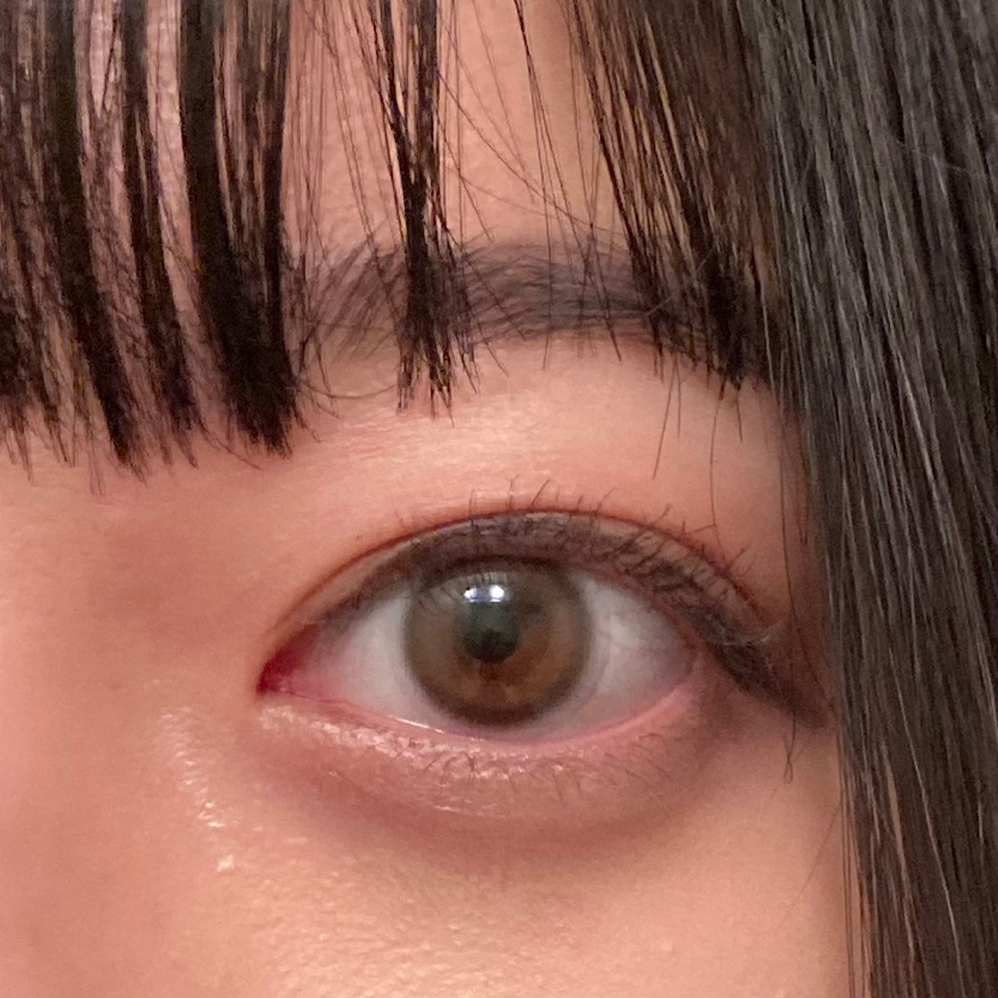 ReVIA 1day/ReVIA/ワンデー(1DAY)カラコンを使ったクチコミ(1枚目)