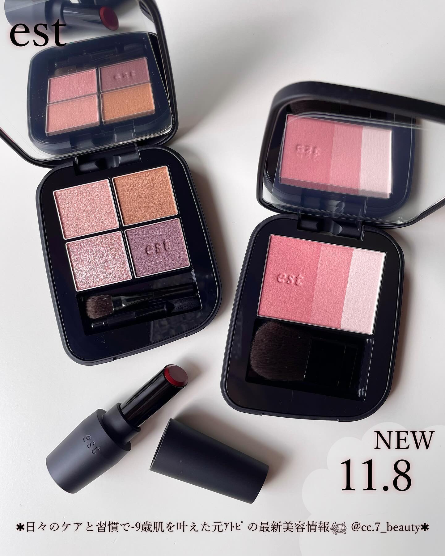 エスト トランスフィア アイカラー/est/アイシャドウパレットを使ったクチコミ（1枚目）