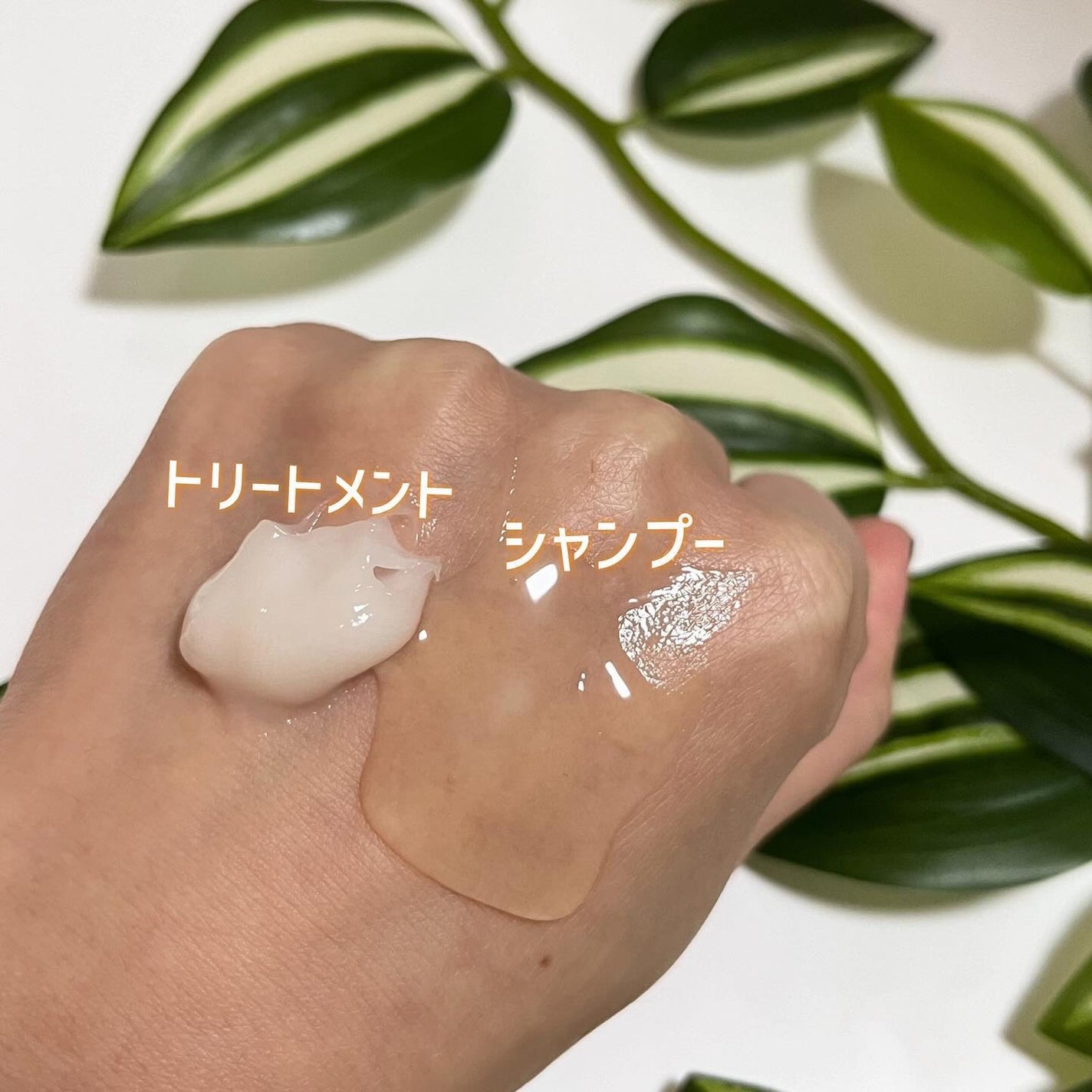 リフレッシュモーメントパフュームシャンプー/トリートメント Fig Fog/Free Moment /市販シャンプーを使ったクチコミ(3枚目)