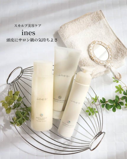 ジェントル スクラブ クレンズ/ines/市販シャンプーを使ったクチコミ(1枚目)