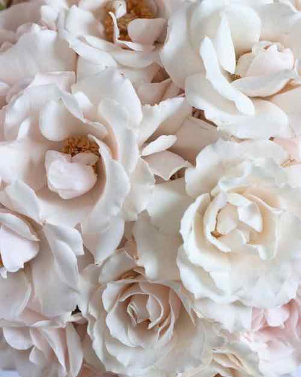 フォローありがとうございます！/その他を使ったクチコミ（1枚目）