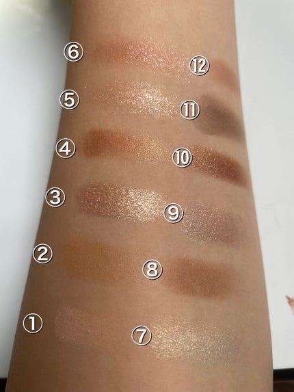 エクスプローラ12色 動物アイシャドウパレット/PERFECT DIARY/アイシャドウパレットを使ったクチコミ(3枚目)