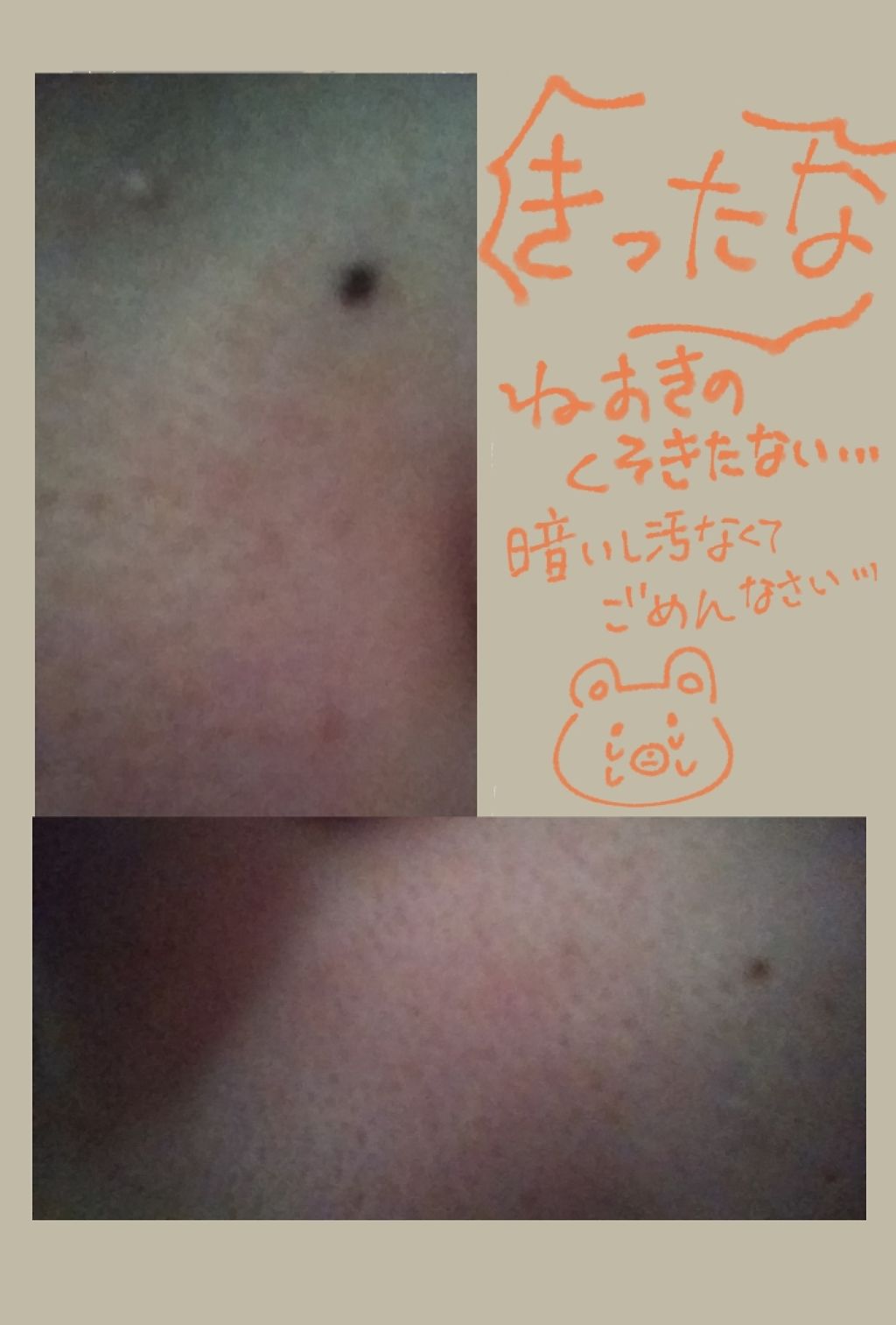 すっぴんパウダー/クラブ/プレストパウダーを使ったクチコミ（2枚目）