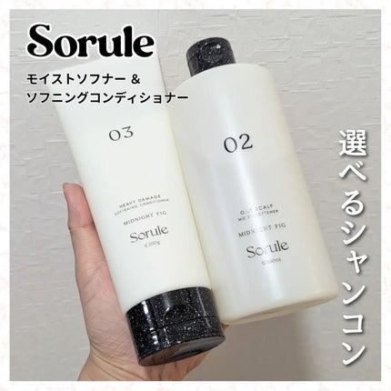 モイストソフナー 02オイリースカルプ/Sorule/市販シャンプーを使ったクチコミ(1枚目)