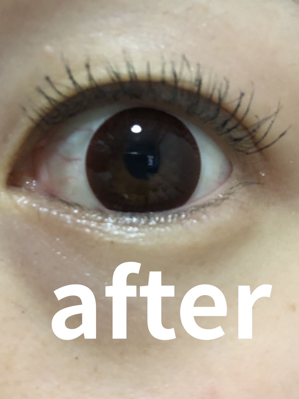 ラッシュパーム カールフィックスマスカラ ブラック/ETUDE/マスカラを使ったクチコミ（2枚目）