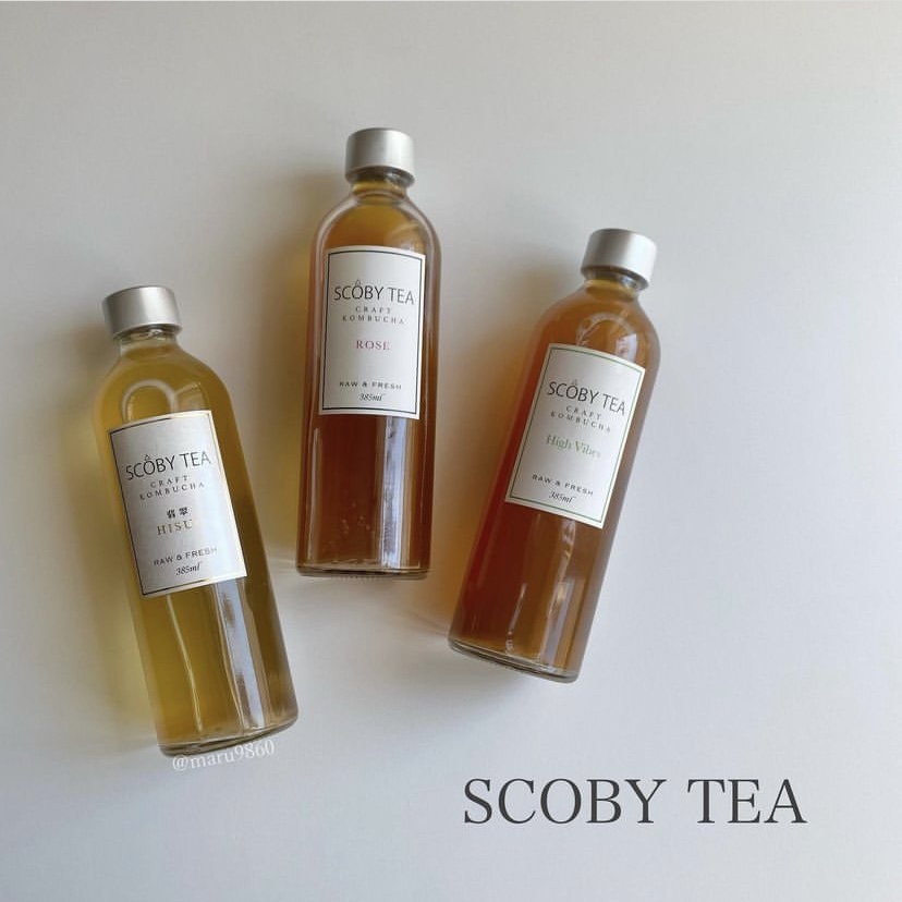 生コンブチャ/SCOBY TEA /コンブチャを使ったクチコミ（1枚目）