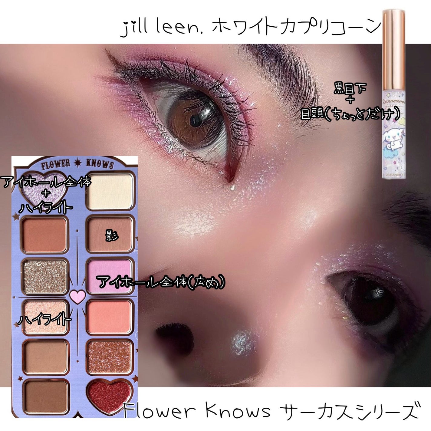 サーカスシリーズ12色アイシャドウパレット /FlowerKnows/アイシャドウパレットを使ったクチコミ(1枚目)