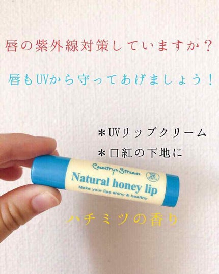 UVリップクリーム HM/カントリー&ストリーム/リップケアを使ったクチコミ(1枚目)