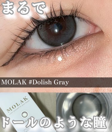 MOLAK 1day ドーリッシュグレー/MOLAK/ワンデー（１DAY）カラコンを使ったクチコミ（1枚目）