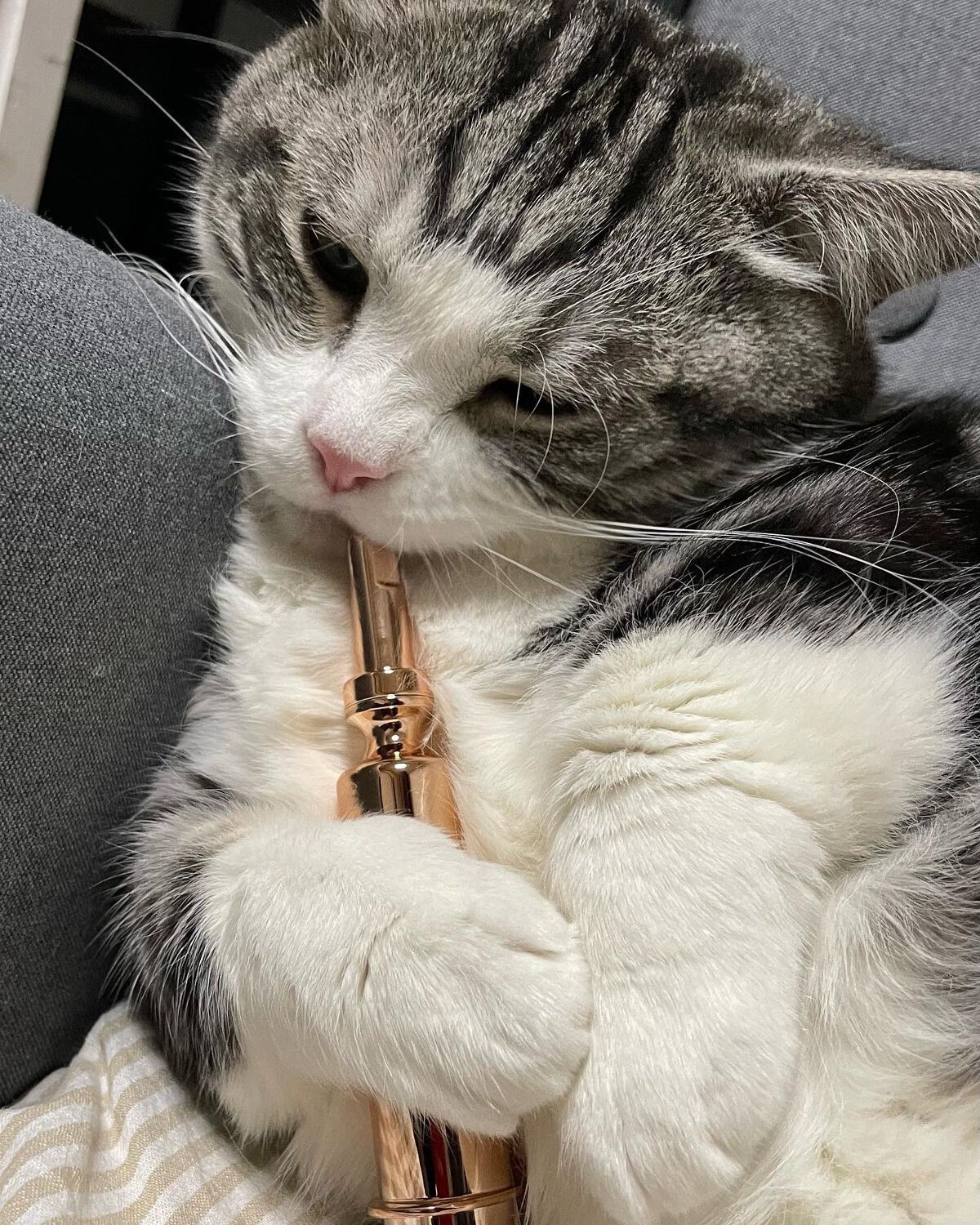 BEBETOX Ampoule/YOU&ME/美容液を使ったクチコミ(1枚目)