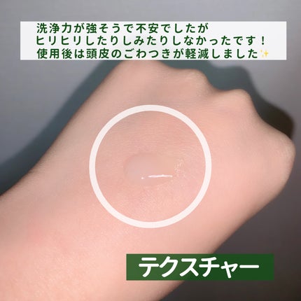 スパークリングスカルプスケーラー/ミンツリー/頭皮ケアを使ったクチコミ(3枚目)