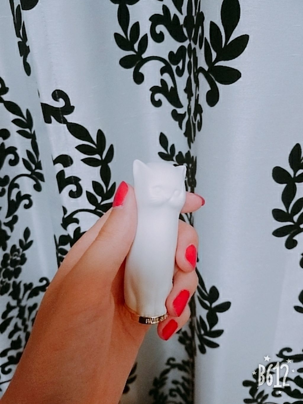 リップスティック ケース N/PAUL & JOE BEAUTE/口紅を使ったクチコミ（1枚目）