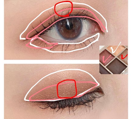 パノラマデザイン アイパレット/Visée/アイシャドウパレットを使ったクチコミ(5枚目)