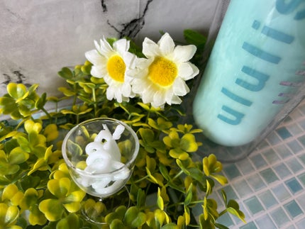 ウォーターコンク モイストシャンプー/ヘアトリートメント/ululis/市販シャンプーを使ったクチコミ(5枚目)