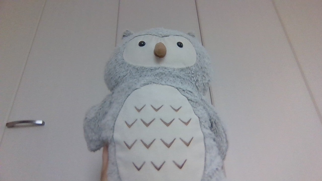 エビフライの衣 on LIPS 「いやーあちーな〜🎐wえー今日は部屋の物を紹介します!まあぬいぐ..」(2枚目)