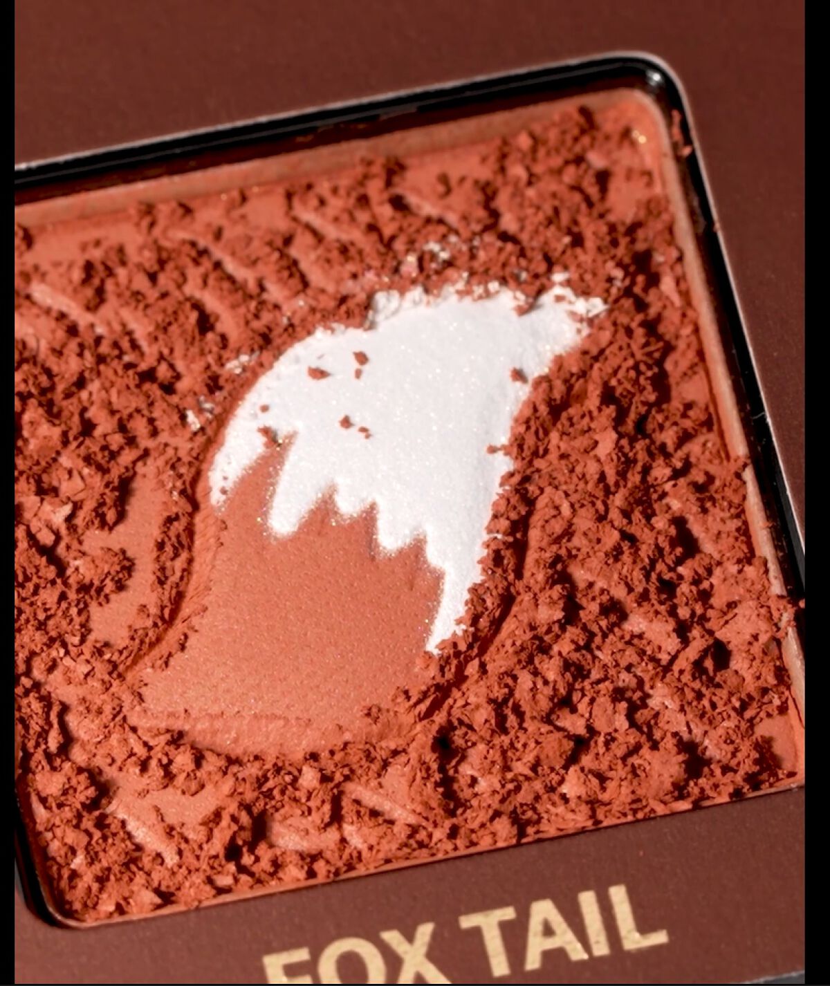 エクスプローラ12色 動物アイシャドウパレット/PERFECT DIARY/アイシャドウパレットを使ったクチコミ（2枚目）