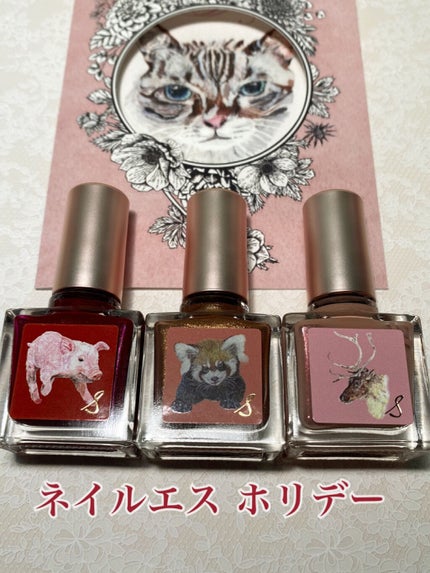 ネイルエス/ nail S(ネイルエス) /マニキュアを使ったクチコミ(1枚目)