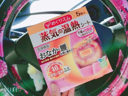 蒸気の温熱シート 下着の内側面に貼るタイプ/めぐりズム/その他を使ったクチコミ(1枚目)