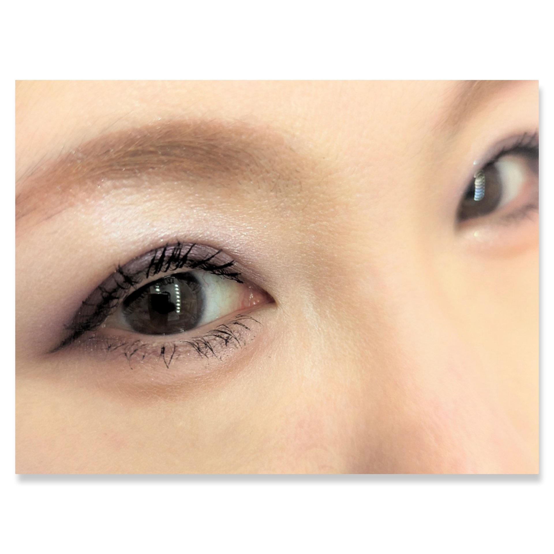 ヴォワヤジュールアイシャドウパレット/NARS/アイシャドウパレットを使ったクチコミ（2枚目）