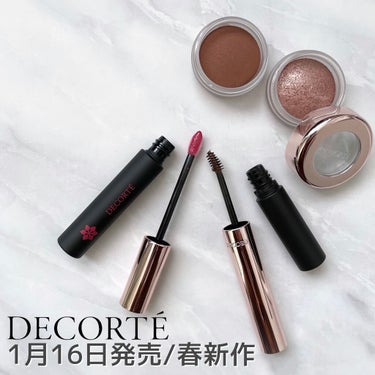 ティント リップグロス 10 ruby chocolate/DECORTÉ/リップグロスを使ったクチコミ（1枚目）