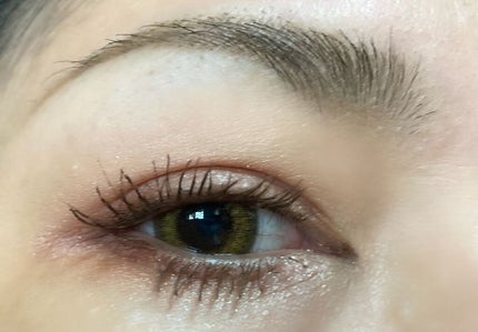 クイックラッシュカーラー/キャンメイク/マスカラ下地を使ったクチコミ(3枚目)