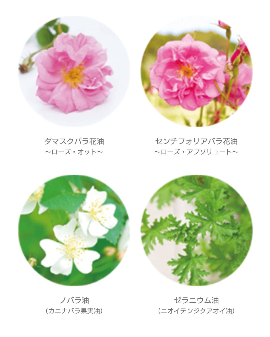 ひろりん【敏感肌、混合肌、揺らぎ肌、エイジングケア】 on LIPS 「角質ケア化粧水【RF28クリアドロッププレミアム】使ってみまし..」(5枚目)