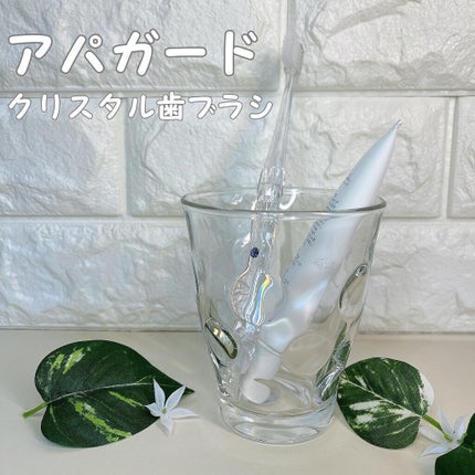 アパガードクリスタル歯ブラシ/アパガード/歯ブラシを使ったクチコミ(1枚目)