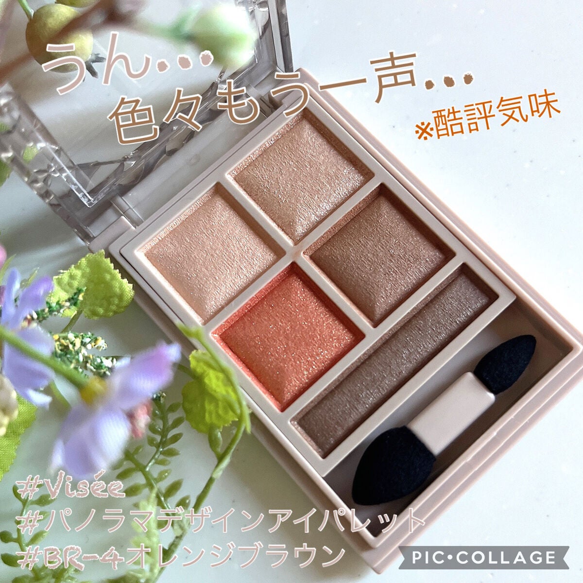 パノラマデザイン アイパレット/Visée/アイシャドウパレットを使ったクチコミ(1枚目)