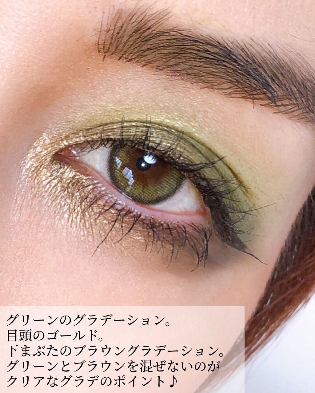 アイシャドウブラシセット/ロージーローザ/メイクブラシを使ったクチコミ(5枚目)