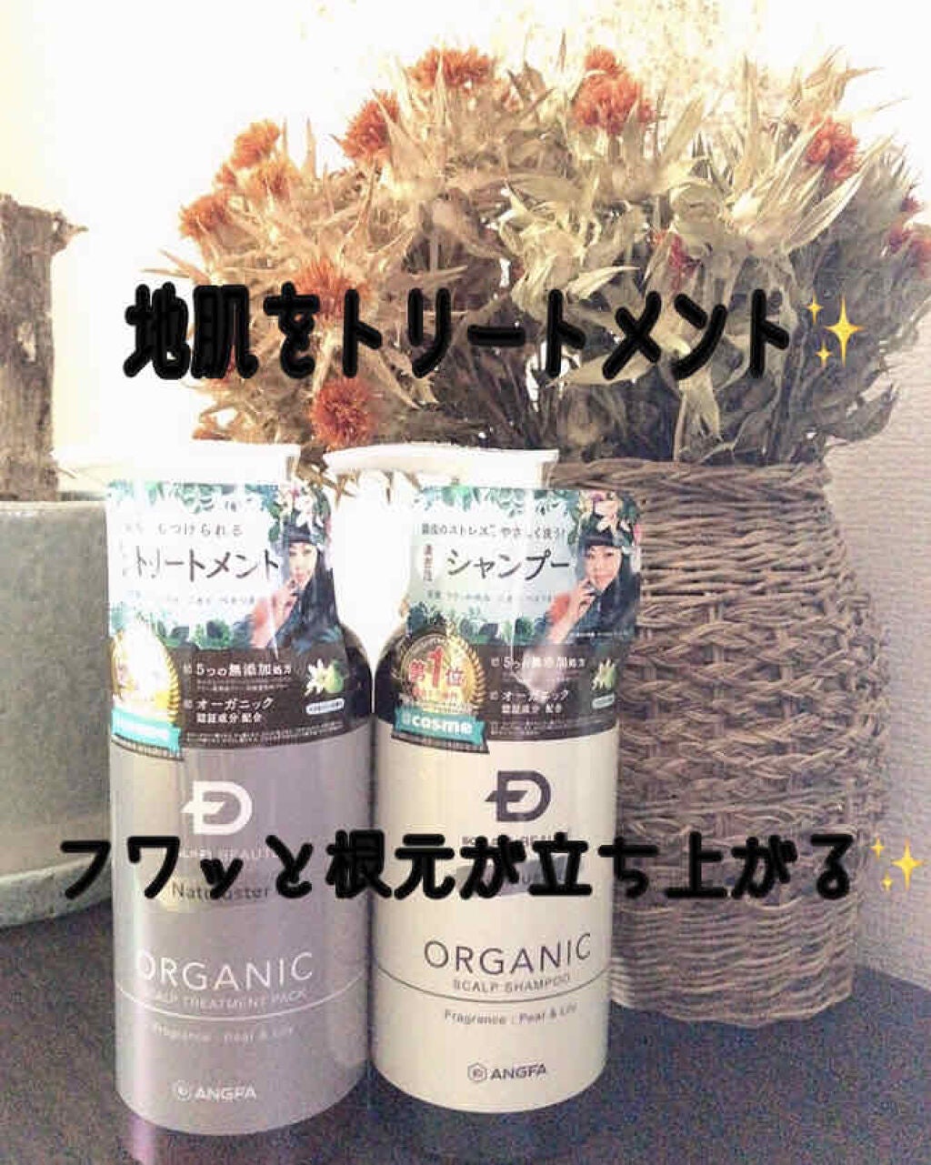 スカルプD ボーテ ナチュラスター スカルプシャンプー/トリートメントパック/アンファー(スカルプD)/シャンプー・コンディショナーを使ったクチコミ(1枚目)