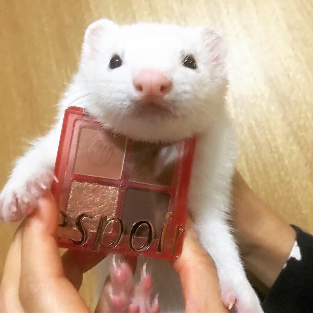 NEWリアルアイハンディパレット/espoir/アイシャドウパレットを使ったクチコミ(4枚目)