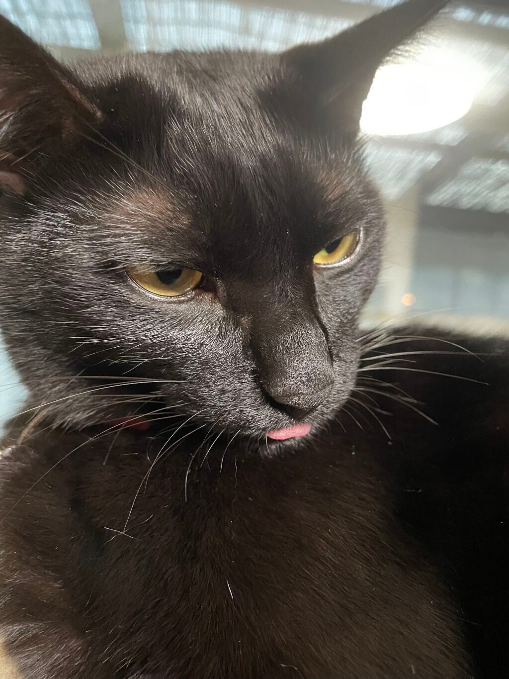 ððððð on LIPS ã..ãïŒ3æç®ïŒ