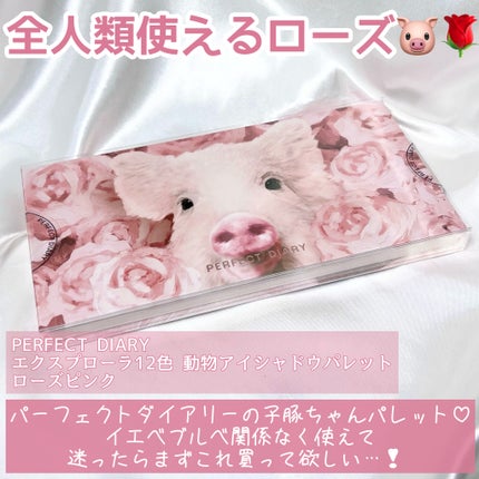 エクスプローラ12色 動物アイシャドウパレット ローズピンク エクスプローラ12色 動物アイシャドウパレット ローズピンク