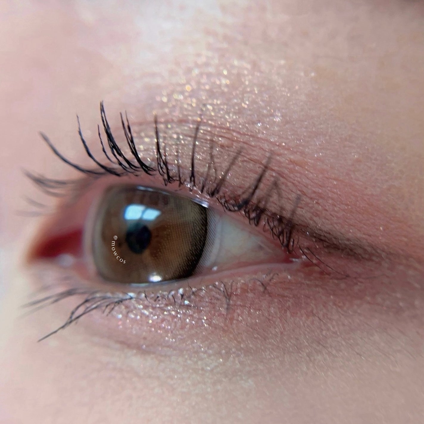 3CE ニューテイク アイシャドウパレット/3CE/アイシャドウパレットを使ったクチコミ(6枚目)