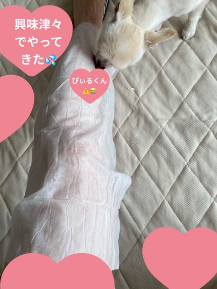 エスカラット極寒タオル/コーセー/ボディシートを使ったクチコミ(5枚目)