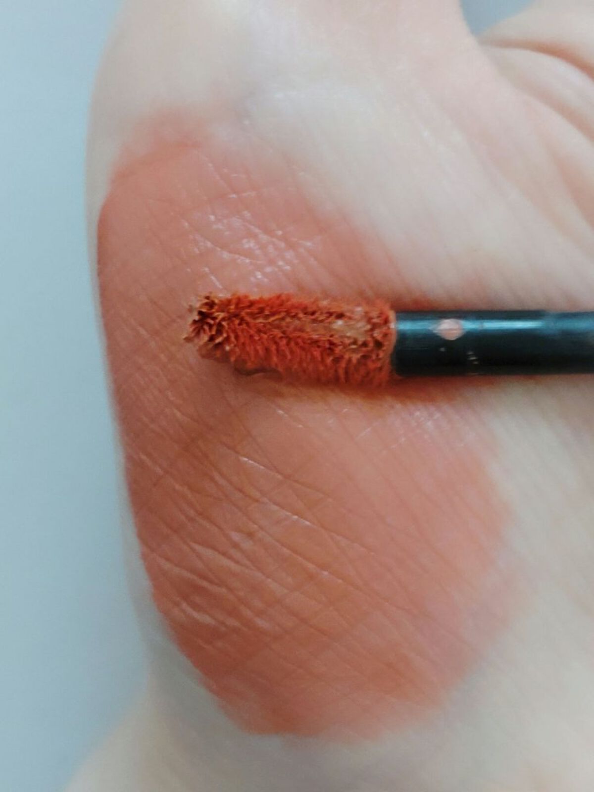 ブラーフィニシュリップティント 101 フェアヘッセ/Dinto/リップティントを使ったクチコミ（3枚目）