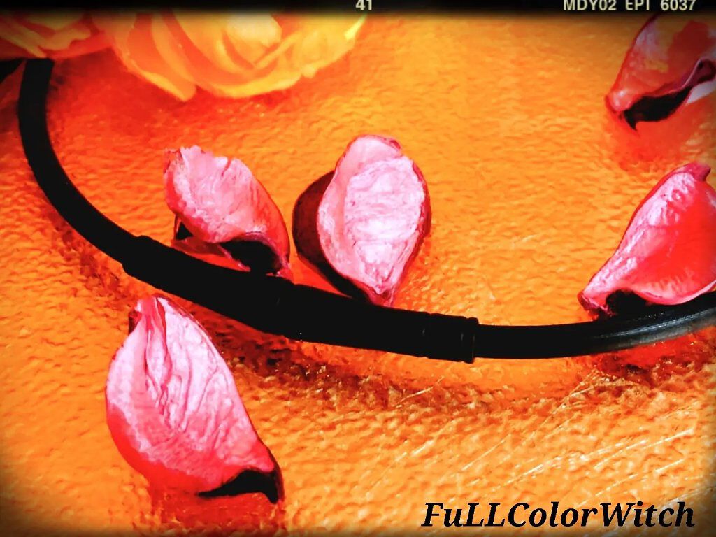 マグネループ MAX/ピップ/ボディグッズを使ったクチコミ（1枚目）