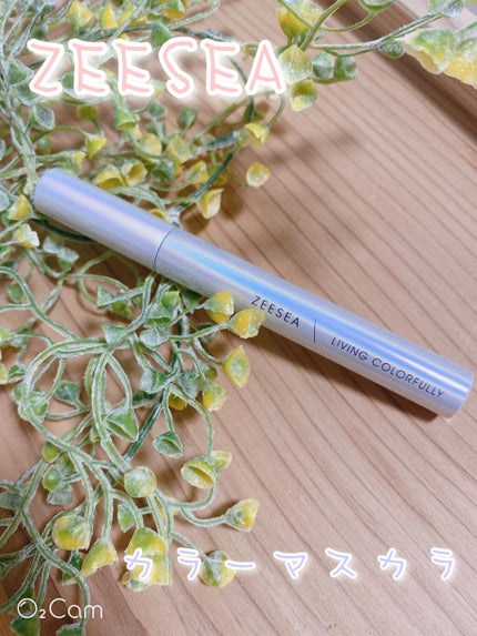 ダイヤモンドシリーズ カラーマスカラ ファッジブラウン/ZEESEA/マスカラを使ったクチコミ(1枚目)