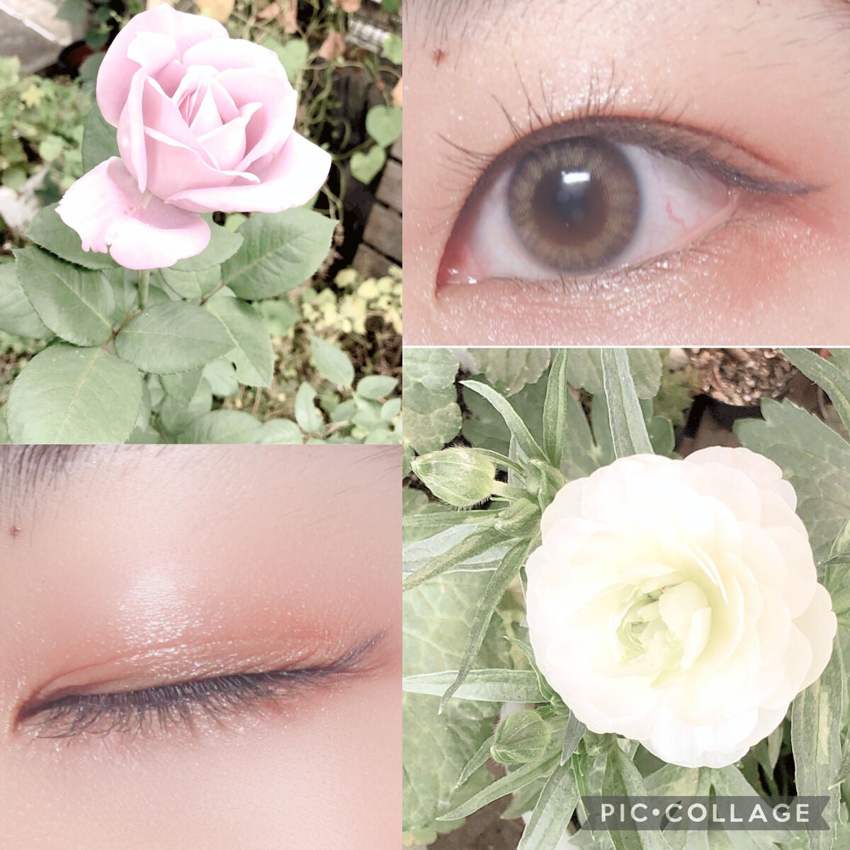 THE アイパレR/b idol/アイシャドウパレットを使ったクチコミ(4枚目)