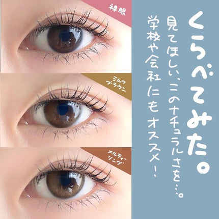 LARME MELTY SERIES(ラルムメルティシリーズ)/LARME/カラーコンタクトレンズを使ったクチコミ(6枚目)