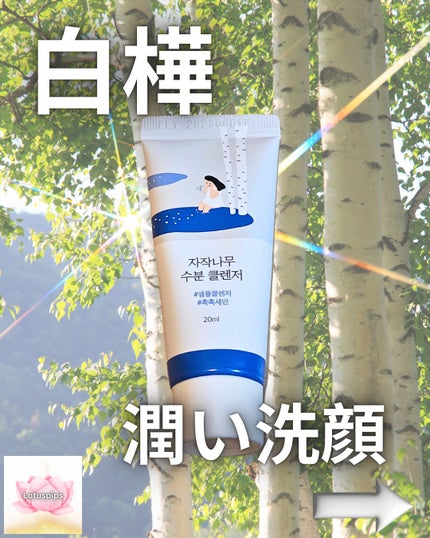 白樺クレンザー/ROUND LAB/洗顔フォームを使ったクチコミ(1枚目)