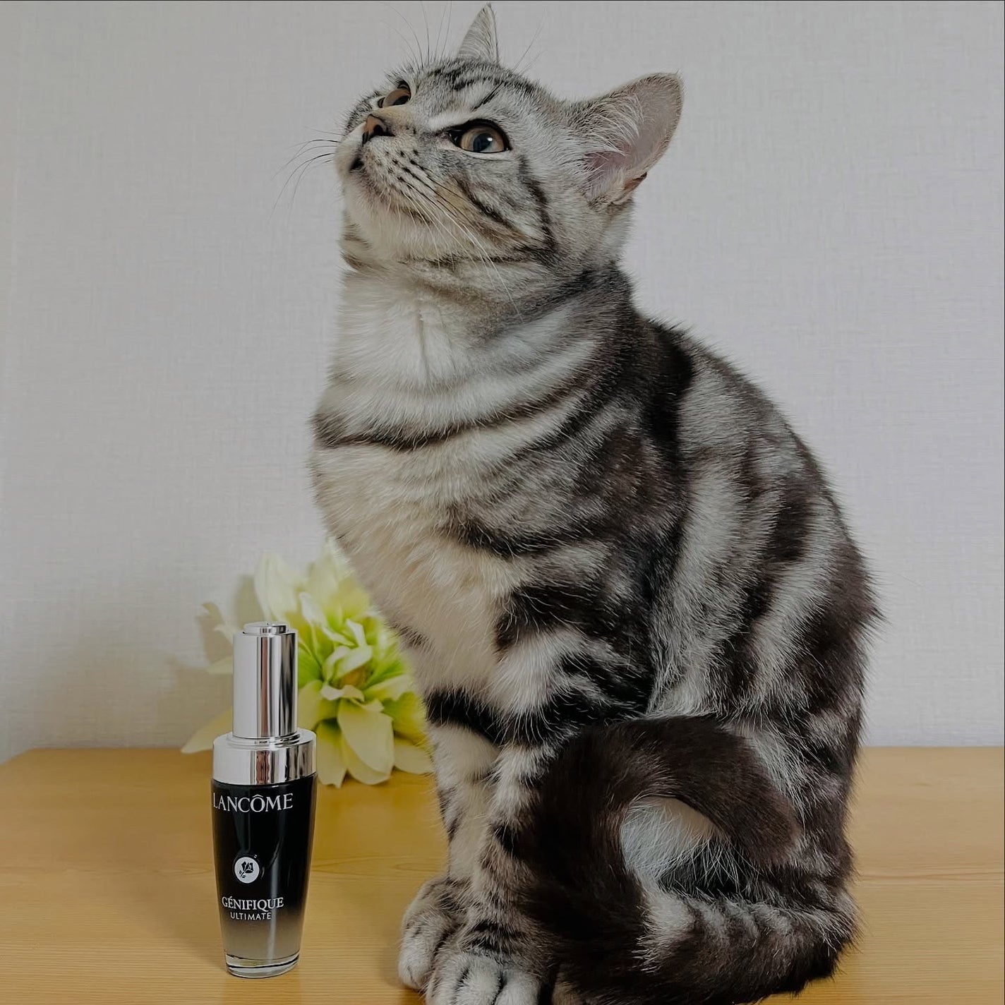 ジェニフィック アルティメ セラム/LANCOME/美容液を使ったクチコミ(3枚目)