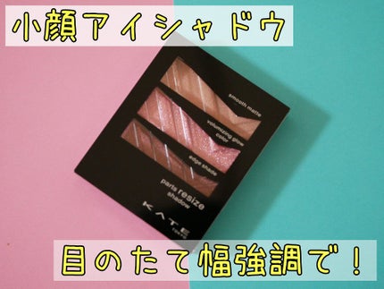 パーツリサイズシャドウ/KATE/アイシャドウパレットを使ったクチコミ(1枚目)
